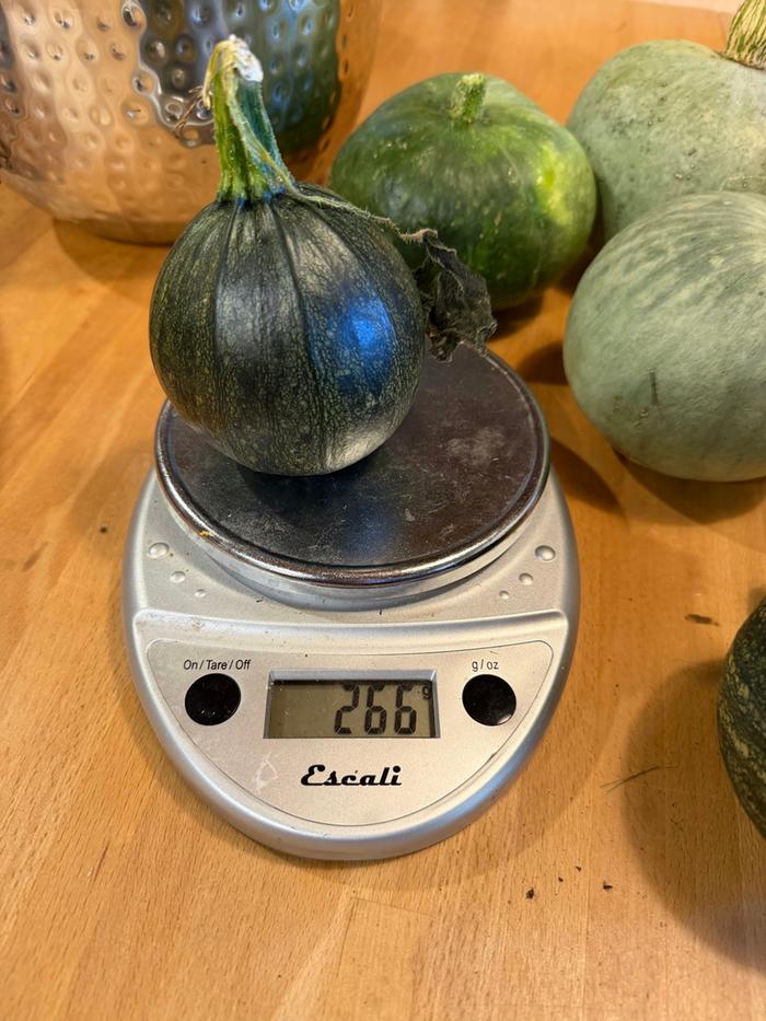 [Thumbnail for squash07.jpg]