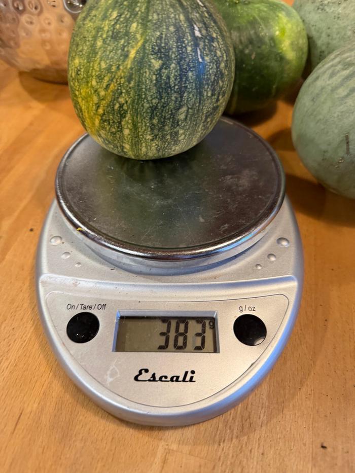 [Thumbnail for squash05.jpg]