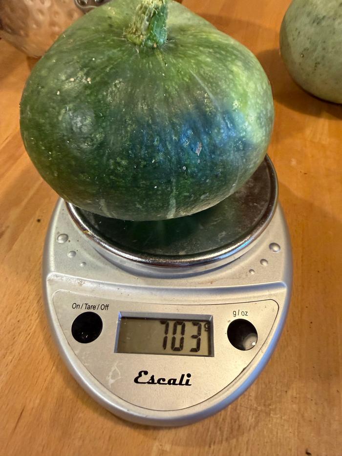 [Thumbnail for squash03.jpg]