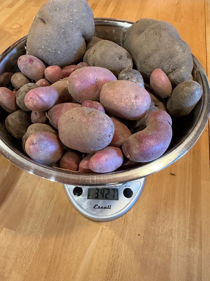 [Thumbnail for taters01.jpg]