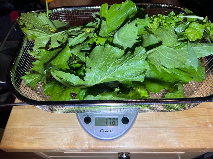 [Thumbnail for greens.jpg]