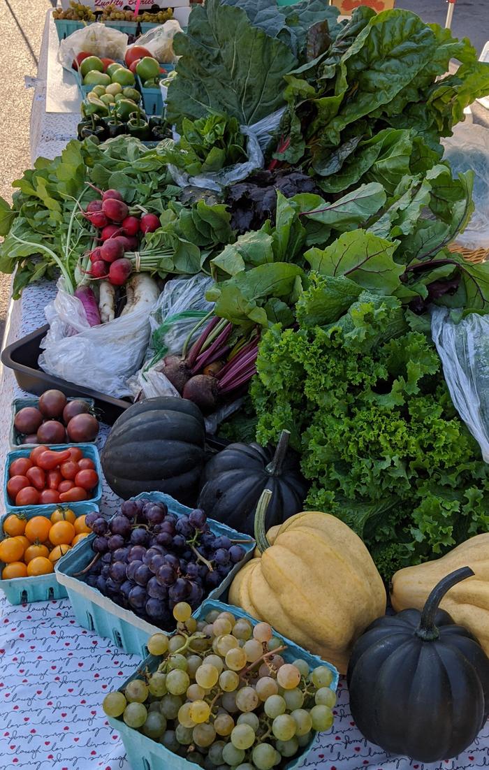 Large variety of farmer's market produce