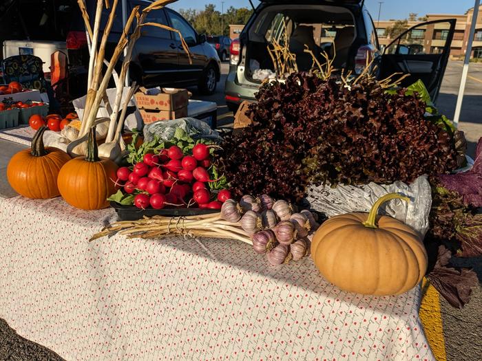 bountiful table of produce at a farmer's market