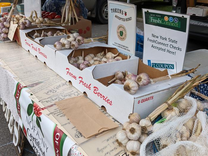 A farmer's market booth that accepts WIC and Fresh Connect coupons for garlic