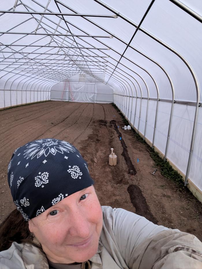 Inside a high tunnel greenhouse