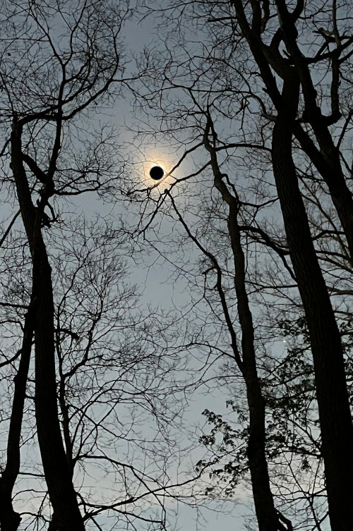 Naked eye view of total solar eclipse