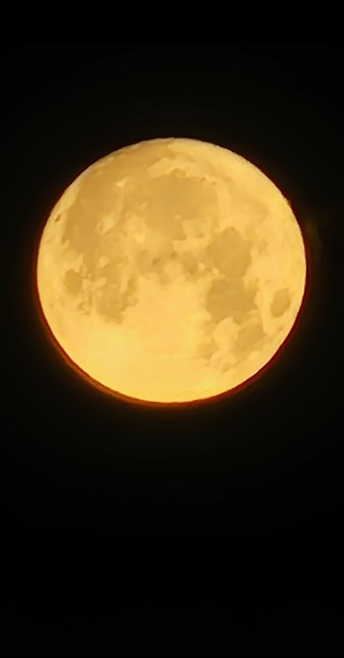 [Thumbnail for Screenshot_20260701_170459_Gallery.jpg]