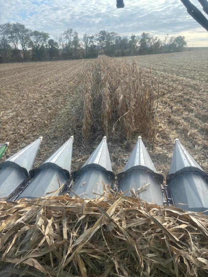 [Thumbnail for IMG954941.jpg]