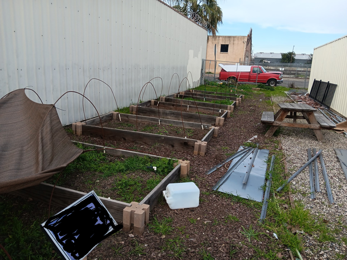 A bunch of raised garden beds between two buildings