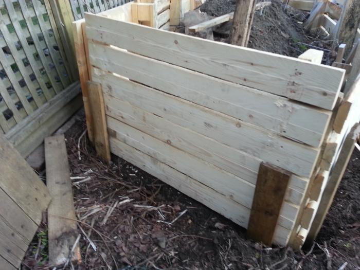 I have secured them vertically in place with hardwood planks hammered halfway into the ground