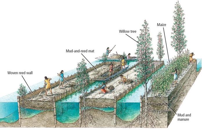 Chinampas example