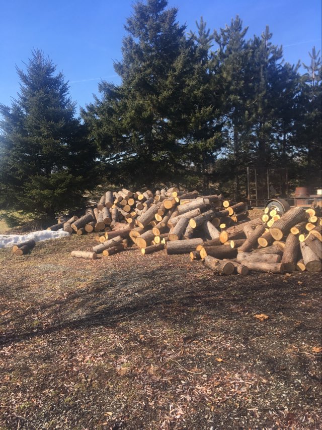[Thumbnail for cedar-logs-2-foot.jpg]