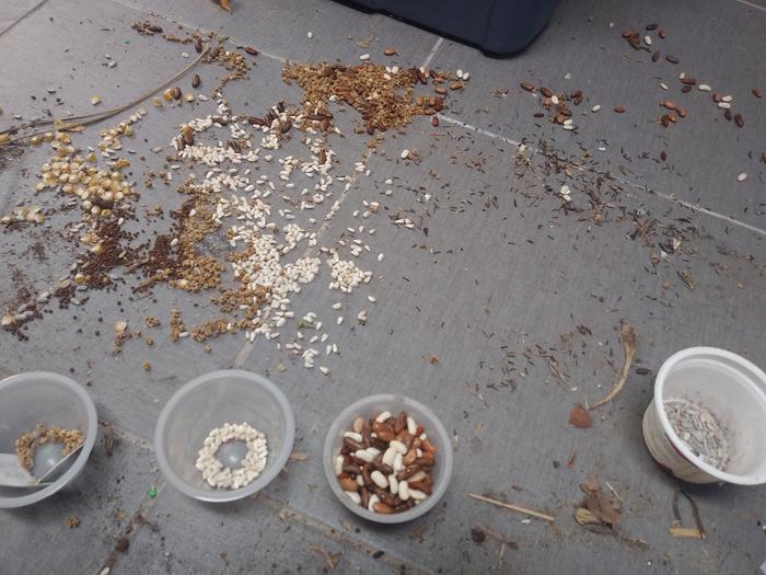 I've been picking up seeds for 30 minutes now. The toddler thinks it's fun to jump back and forth as I do so over the top of the spilled seeds. 