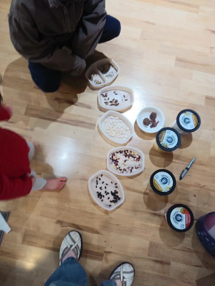 Toddler seed sorting store