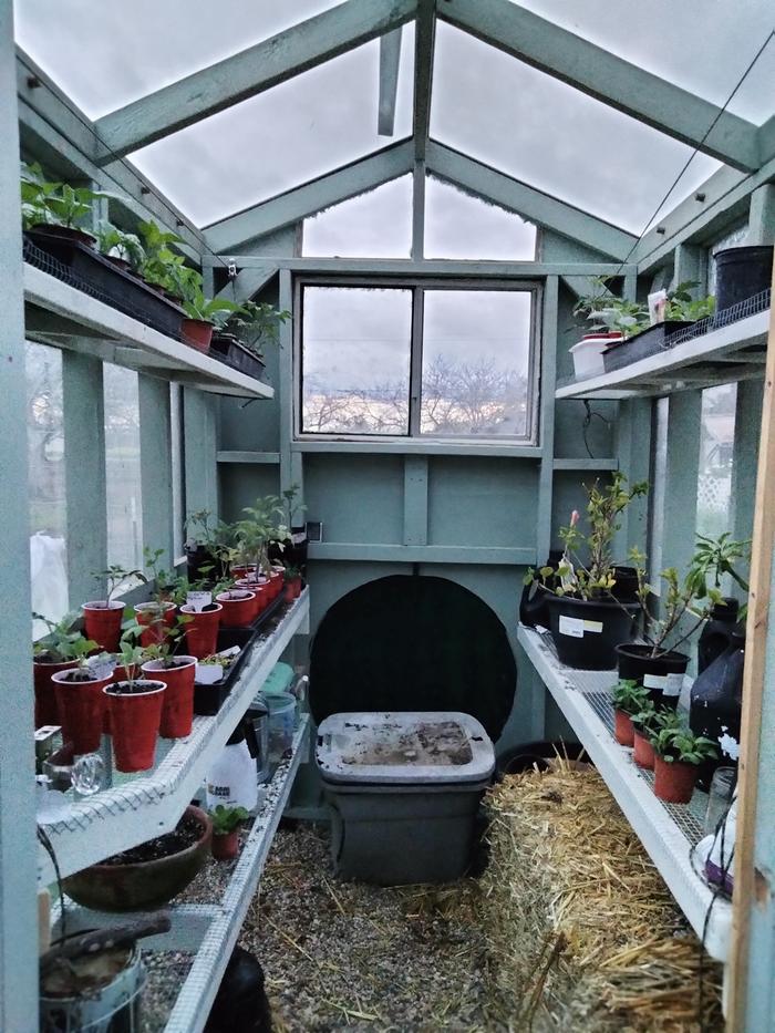 In the greenhouse 