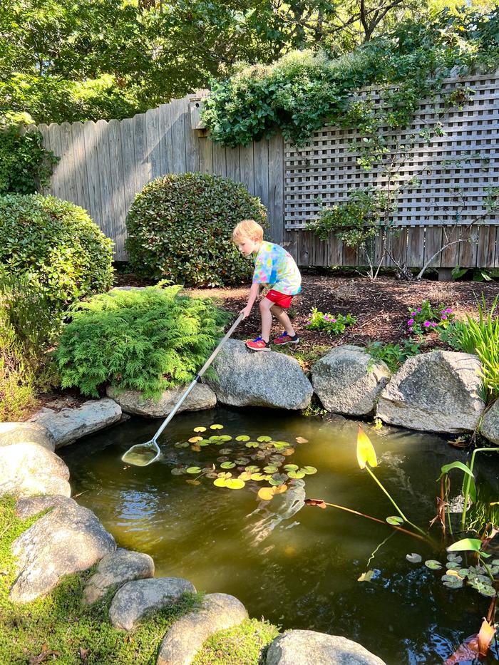 kid cleaning pond