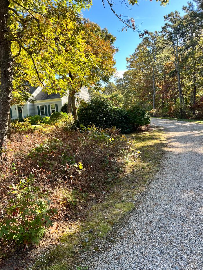 fall driveway