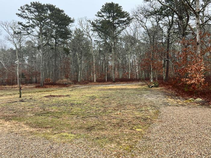 N facing south - formwer owners had veg garden here with elec fence, is water spigot