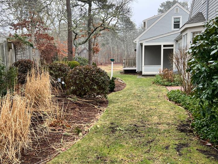 east side yard looking south