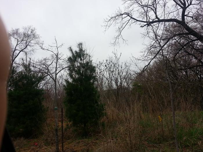 [Thumbnail for 20130429_094652.jpg]