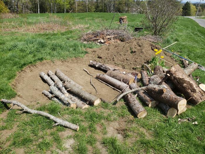 hugelkulture dug out and some logs placed in the hole