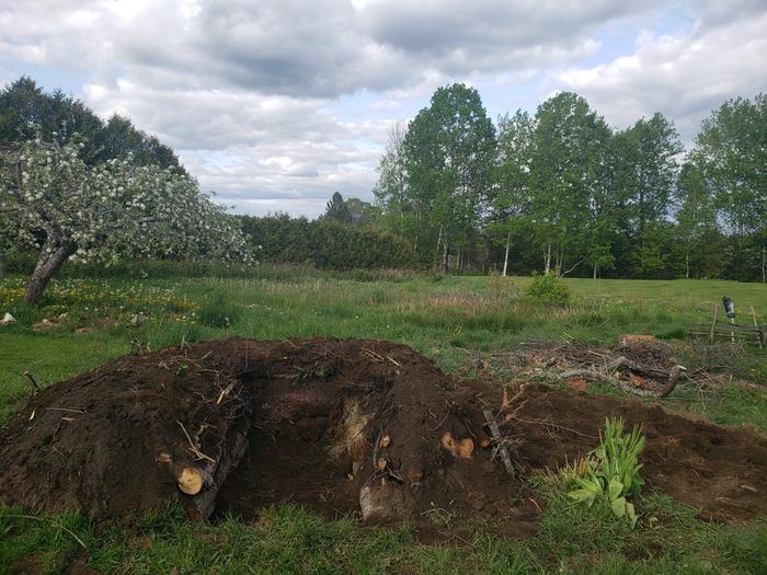 dirt piled on the hugelkultur