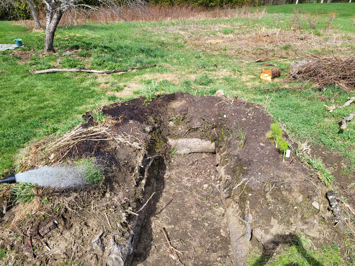 front view of the keyhole hugelmound being watered