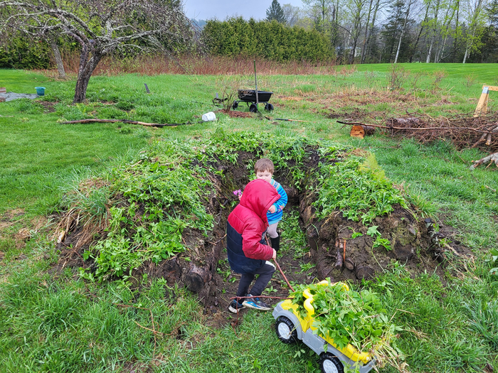 kids bringing green mulch to the keyhole mound in a dump truck