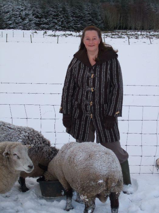 [Thumbnail for julie-sheep-2.jpg]