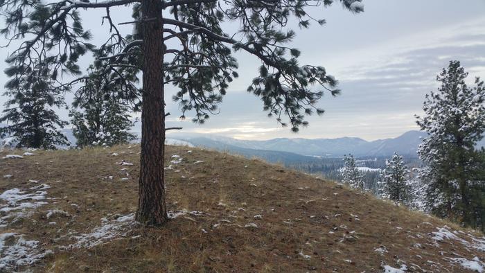 view from the peak of the volcano this morning