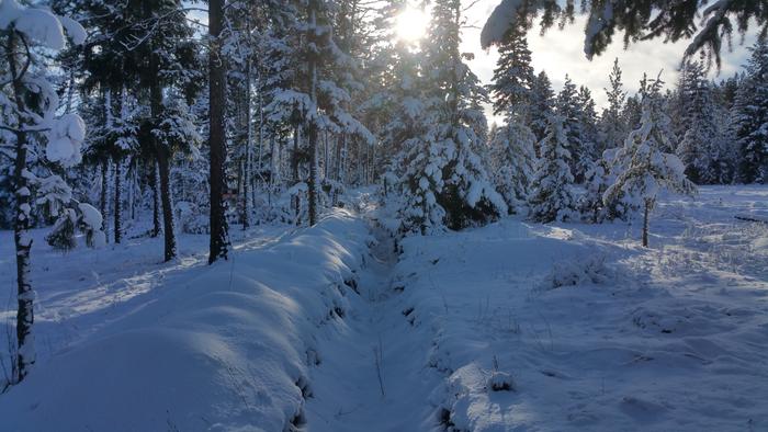 Tank traps to foil ATV trespassers