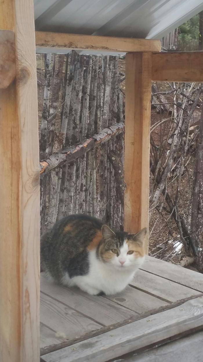 Gert on the hay box cooker