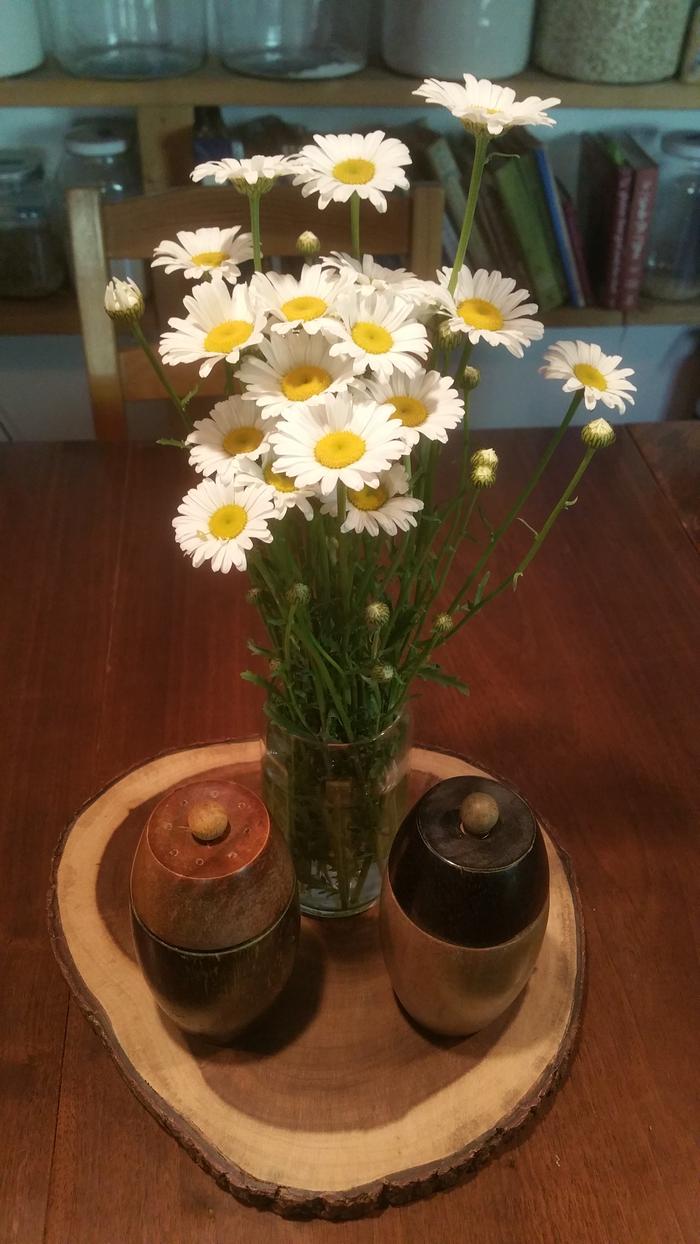 daisies on the table in the FPH