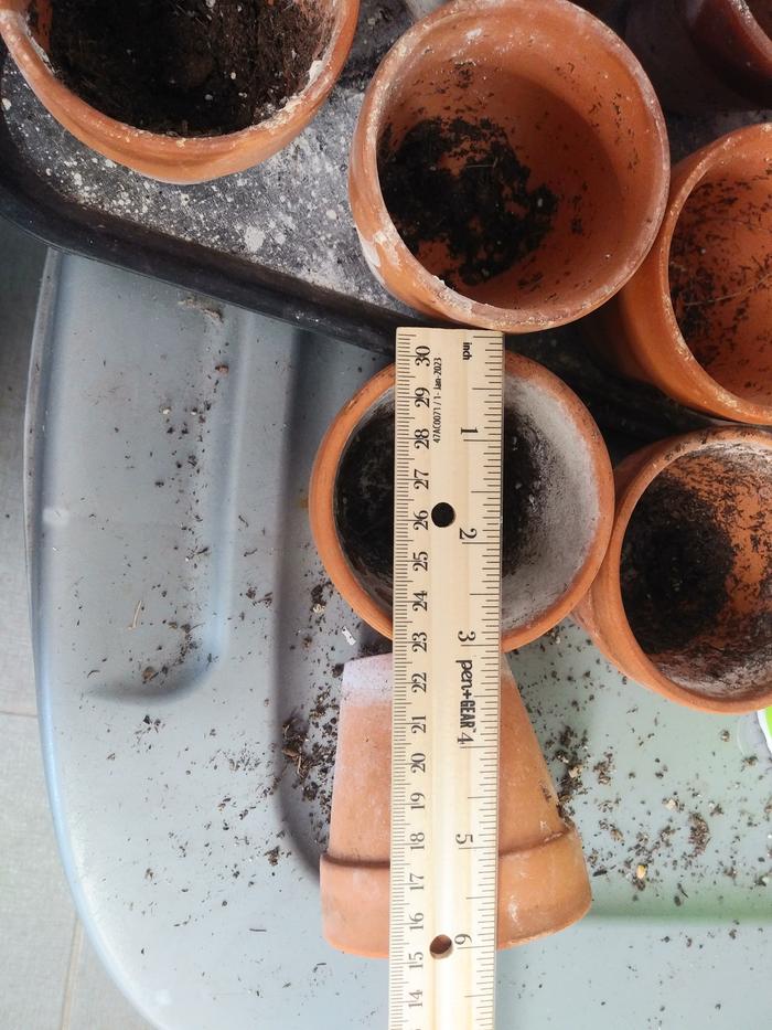 Lots of tiny pots