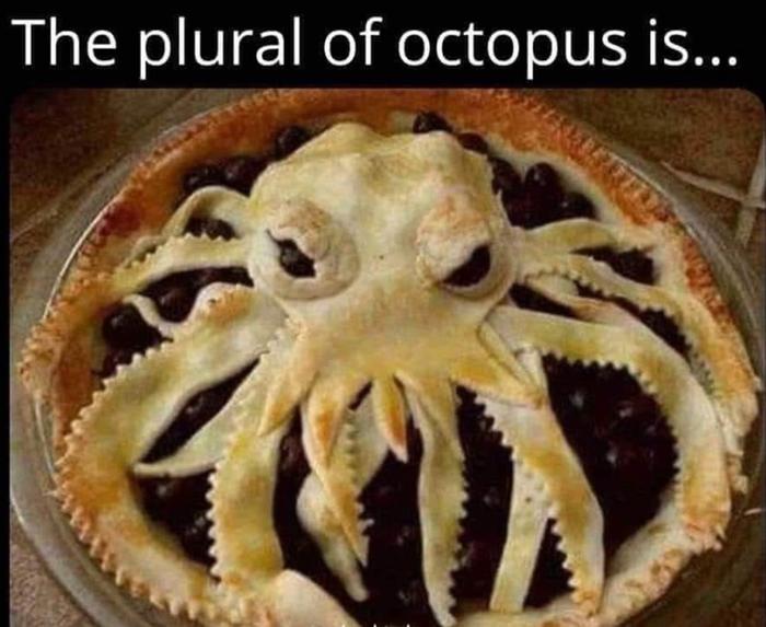 blueberry pie with octopus crust