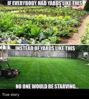 [Thumbnail for Gardening.jpg]