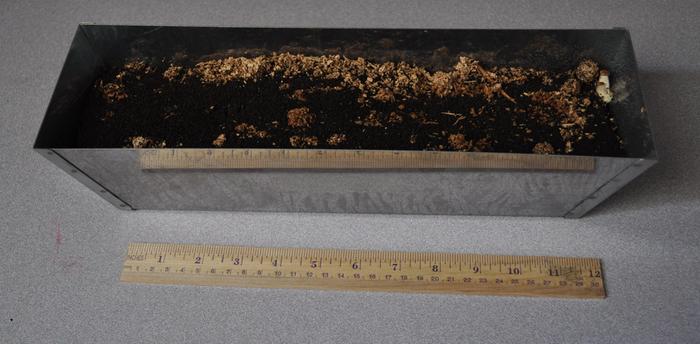 [Thumbnail for tray.jpg]