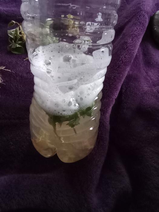 So many bubbles in this water bottle!