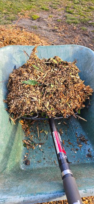 A fork full of mulch