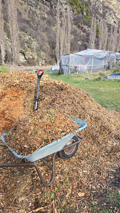 A wheel barrow load of mulch
