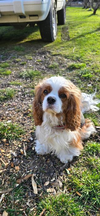 Gardening supervisor