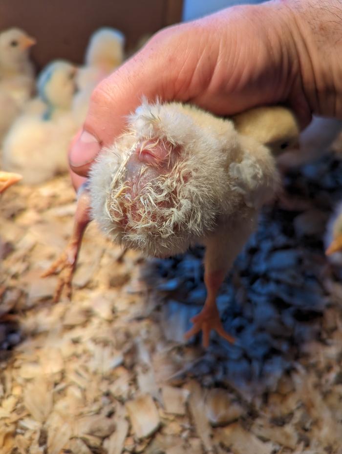 [Thumbnail for PXL_20240402_225431774.MP.jpg]