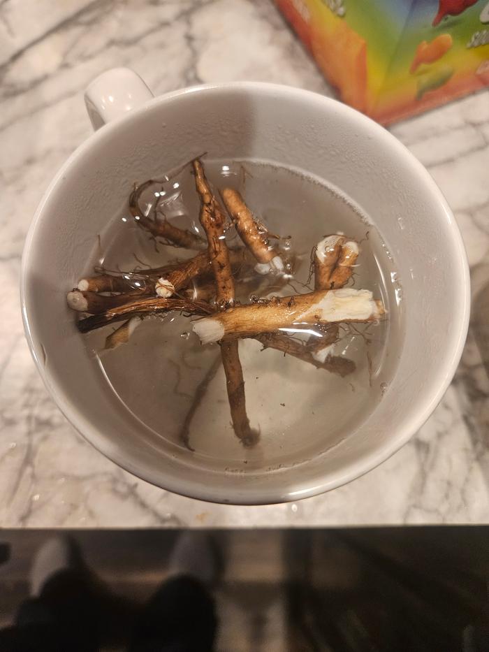 Dandelion root tea