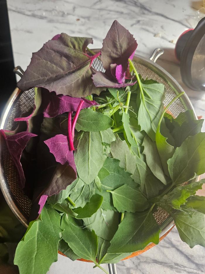 Lambs quarters salad