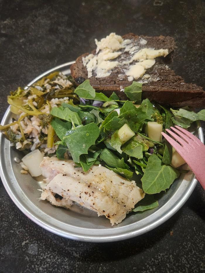 Amazing pike fish with rice-veggie pilaf and salad. Linda's terrific sourdough bread in the back 