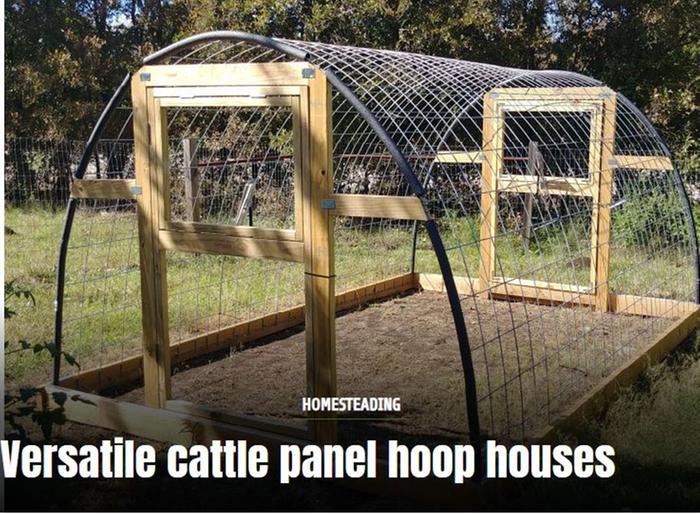 [Thumbnail for hoop-house.JPG]