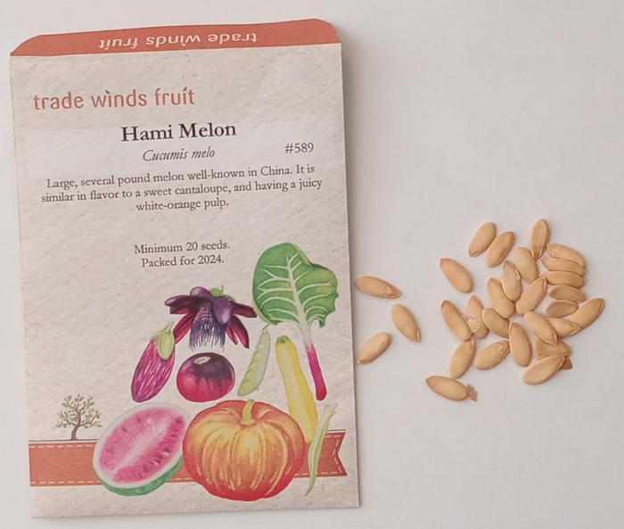 Hami melon seeds
