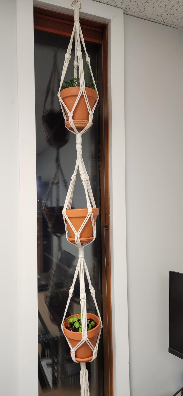 triple plant hanger