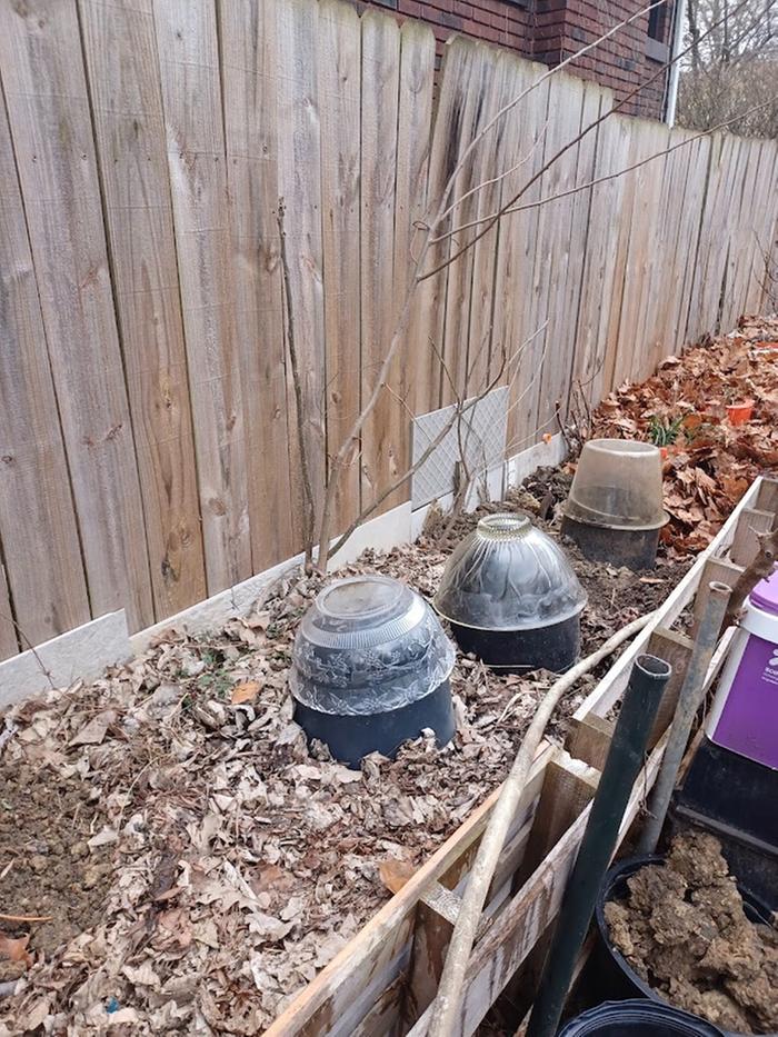 Humidity domes
