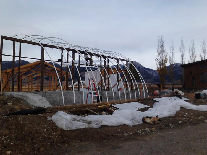 [Thumbnail for Earth-Powered-Greenhouses0057.jpg]